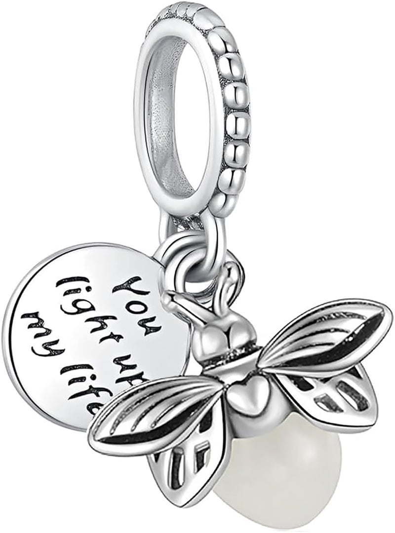 ANZIUS 10 Pack Silver Charms for Pandora Bracelets and Necklaces Charms for Women CZ Pendant Jewelry Charm Set - Image 2